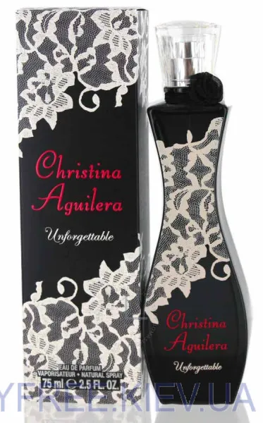 Christina Aguilera Unforgettable