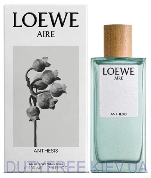 Loewe Aire Anthesis