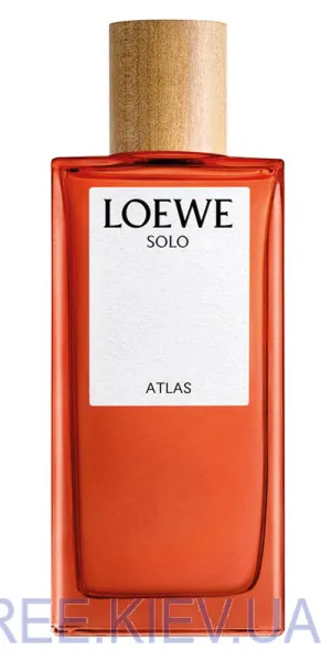 Loewe Solo Atlas Тестер