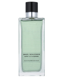 Angel Schlesser Esprit Gingembre Pour Homme Тестер