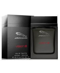 Jaguar Vision III