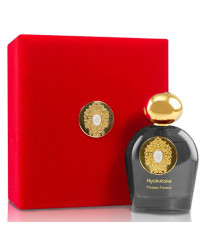 Tiziana Terenzi Hyakutake