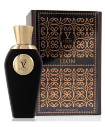 V Canto Leon