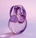 Bvlgari Omnia Amethyste New